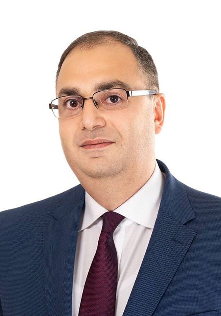 Վլադիմիր Վարդանյանը